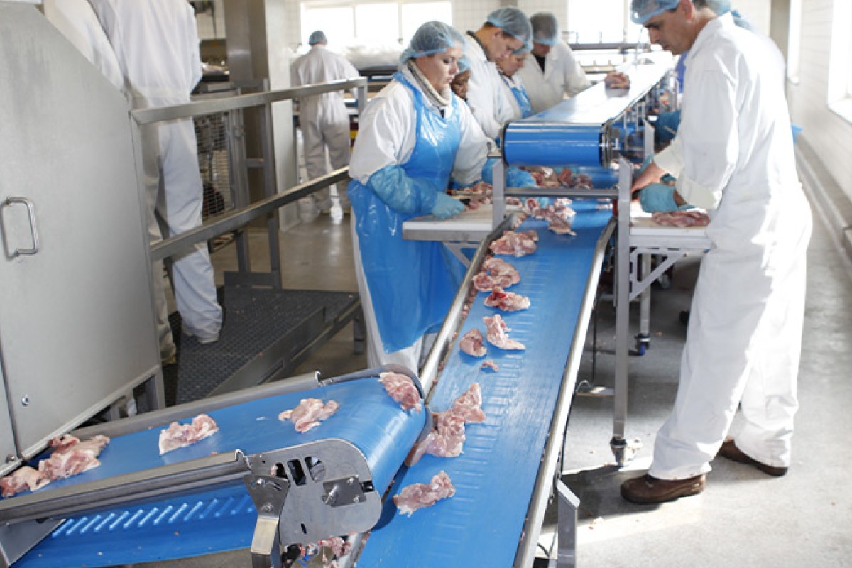 Garantindo a Higiene em Correias Alimentícias: Uma Prioridade para a Indústria